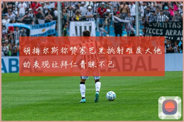 胡梅尔斯称赞塞巴里挑射难度大他的表现让拜仁青睐不已