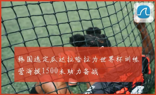 韩国选定瓜达拉哈拉为世界杯训练营海拔1500米助力备战